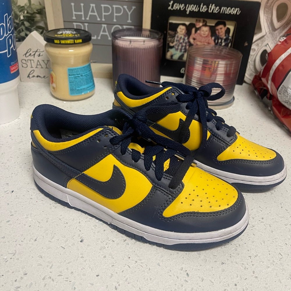 Nike Michigan Dunks 5 Youth with Box